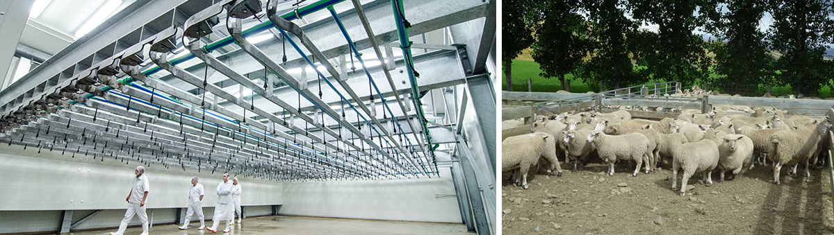 1742349357130433.jpg buu7-3.jpg